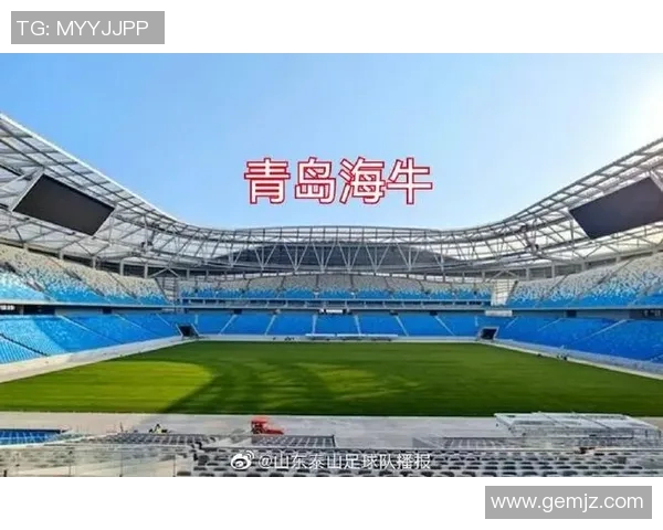 2023年韩国足球明星阵容全解析及其在国际赛场的表现分析