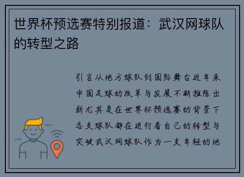 世界杯预选赛特别报道：武汉网球队的转型之路