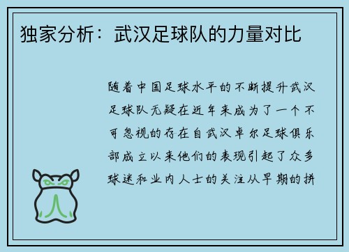 独家分析：武汉足球队的力量对比