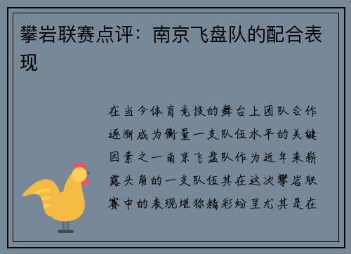 攀岩联赛点评：南京飞盘队的配合表现