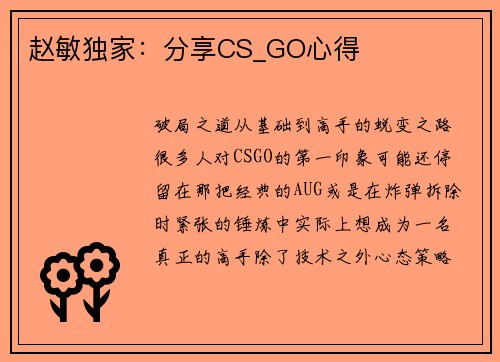 赵敏独家：分享CS_GO心得