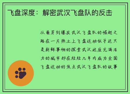 飞盘深度：解密武汉飞盘队的反击