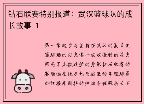 钻石联赛特别报道：武汉篮球队的成长故事_1